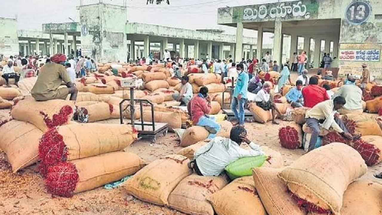 Chilli Price: బంగారంతో పోటీ పడుతున్న ఎర్రబంగారం.. ధర ఎంతో తెలిస్తే ఫ్యూజులు ఎగిరిపోతాయి..!