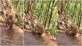 Viral Video: స్టంట్ చేయబోయి బొక్కబోర్లా పడింది !! నవ్వులు పూయిస్తున్న అమ్మాయి వీడియో