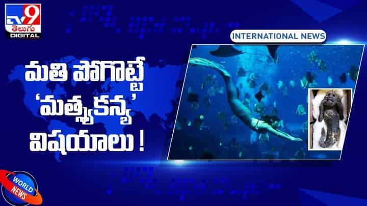 300 ఏళ్ళ నాటి ‘మత్స్యకన్య’ !! మతి పోగొట్టే విషయాలు !! 300 ఏళ్ళ నాటి ‘మత్స్యకన్య’ !! మతి పోగొట్టే విషయాలు !!