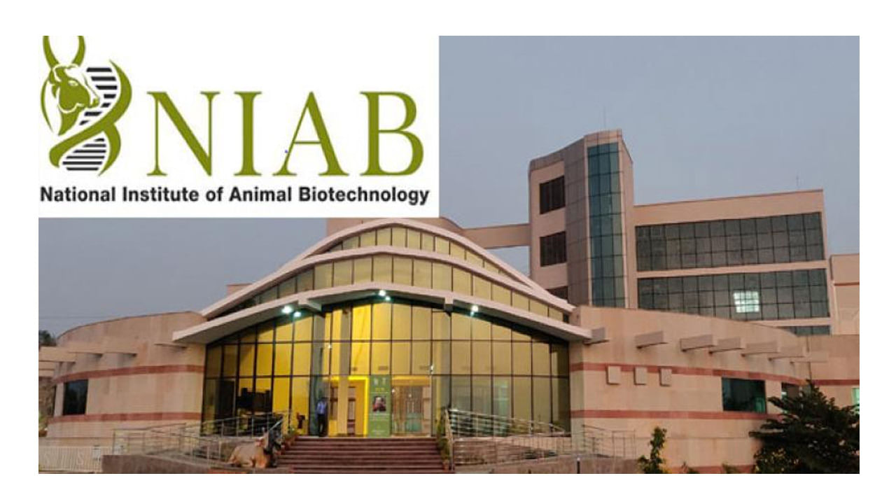 NIAB Hyderabad Jobs: With a salary of Rs 31,000 per month .. Project staff  jobs in NIAB Hyderabad .. Without written test .. | NIAB Hyderabad  Recruitment 2022 for Project Associate and field assistant Posts | PiPa News