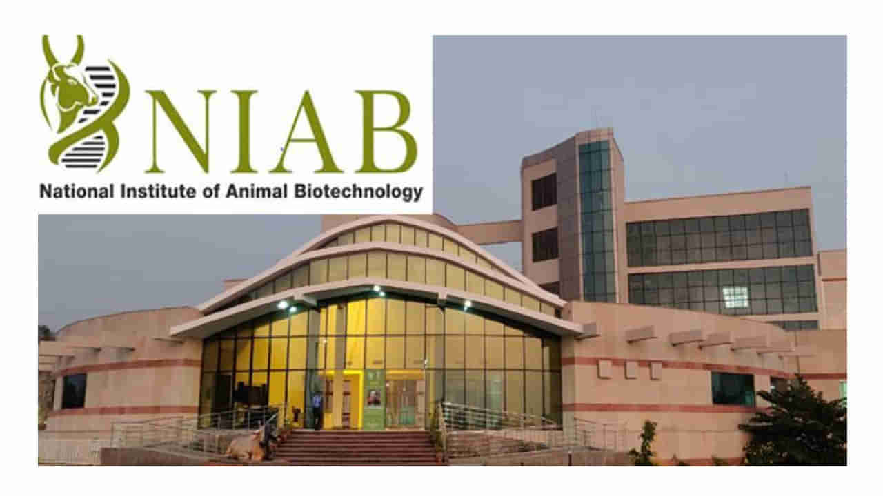 NIAB Hyderabad Jobs: నెలకు రూ.31,000లజీతంతో.. ఎన్‌ఐఏబీ హైదరాబాద్‌లో ప్రాజెక్ట్‌ స్టాఫ్‌ ఉద్యోగాలు..రాత పరీక్షలేకుండానే..