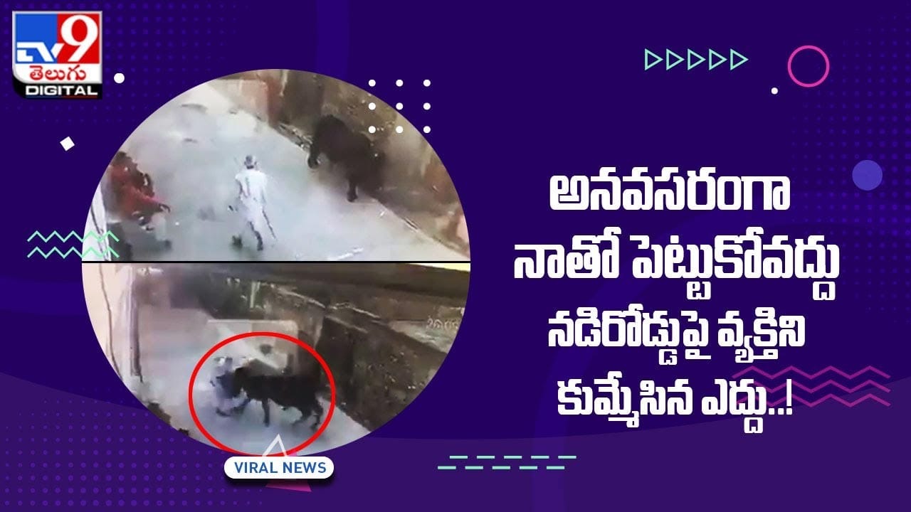 అనవసరంగా నాతో పెట్టుకోవద్దు !! నడిరోడ్డుపై వ్యక్తిని కుమ్మేసిన ఎద్దు !! అనవసరంగా నాతో పెట్టుకోవద్దు !! నడిరోడ్డుపై వ్యక్తిని కుమ్మేసిన ఎద్దు !!