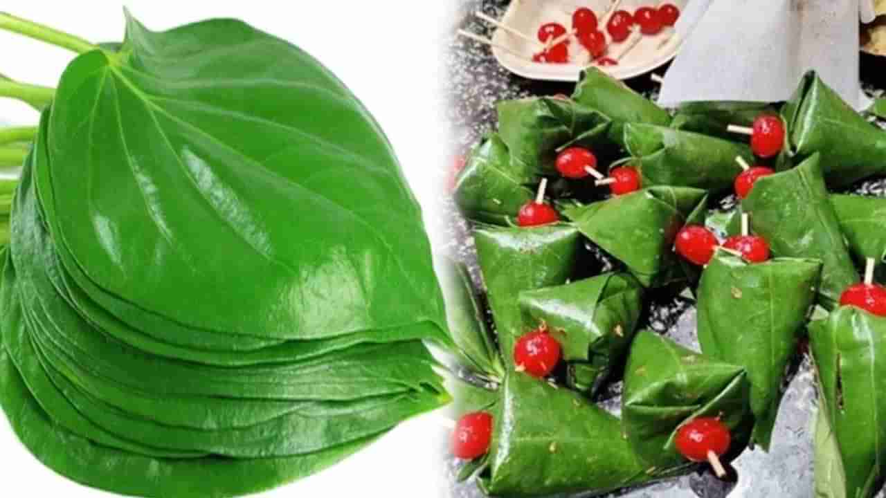 Betel Leaf: ఎండకాలంలో పాన్ తింటే ఎన్నో ప్రయోజనాలు.. తమలాపాకులతో ఈ వ్యాధులకు చెక్ పెట్టొచ్చు..