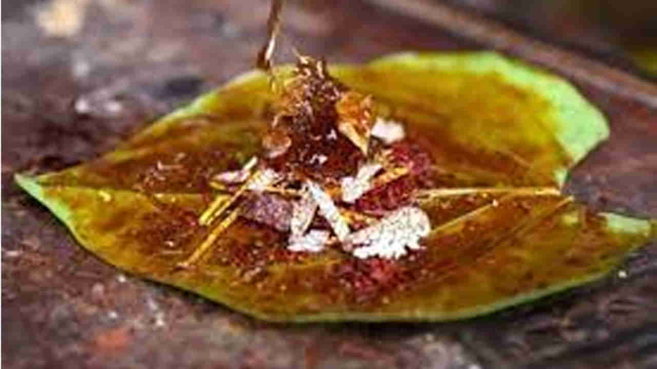 Betel Leaves Benefits: పెళ్లైన పురుషులు పాన్‌ తింటే అద్భుత ఫలితాలు.. తెలిస్తే ఆశ్చర్యపోతారు..!