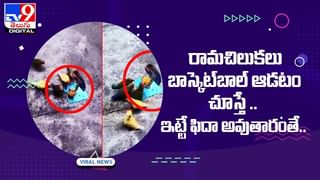 Viral Video: భారత స్పైడర్ మ్యాన్.. రోడ్డుమీద బురద నీటి దాటిన తీరు అద్భుతం.. వీడియో వైరల్