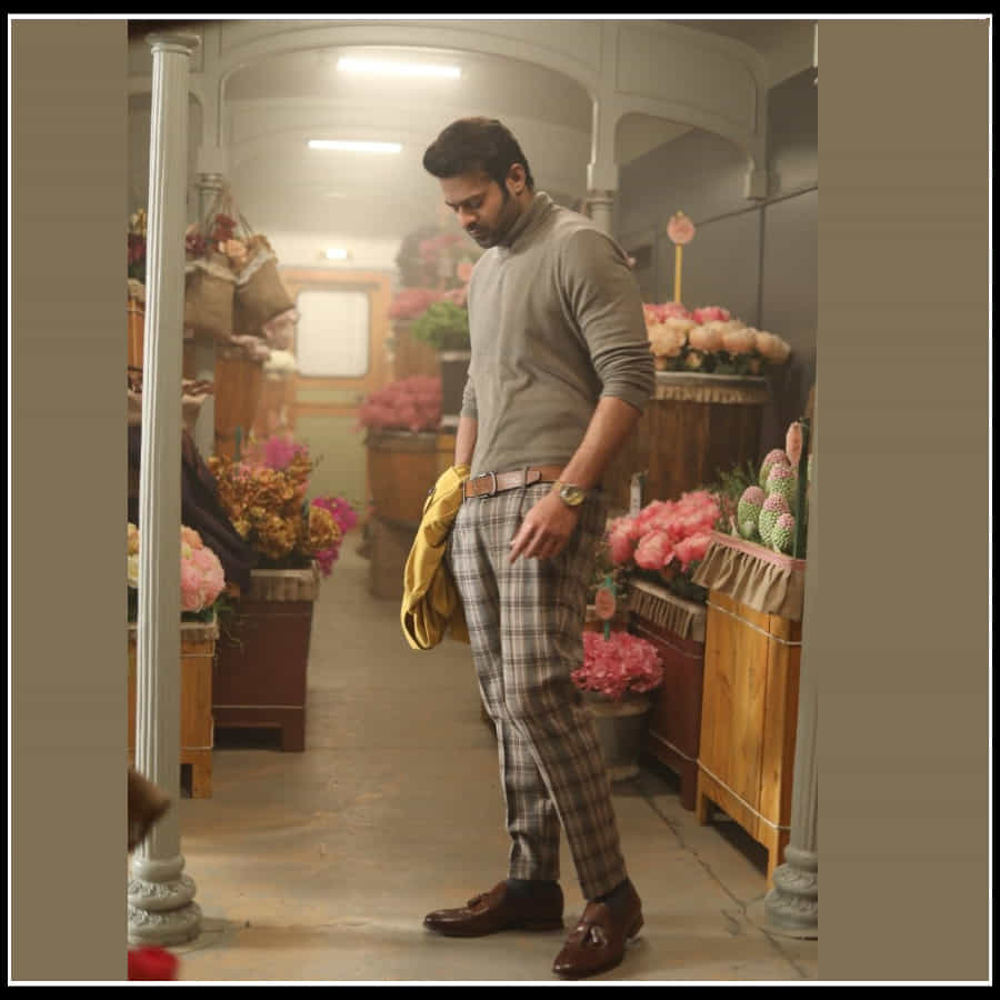 ప్రభాస్ ఫ్యాన్స్ కోసం రాధేశ్యామ్ నుంచి పోస్టర్స్