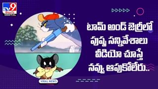 Viral Video: ఈ పిల్లి మహా ముదురు.. నచ్చని టీవీ ఛానల్ పెడితే ఏం చేస్తుందో మీరే చూడండి..