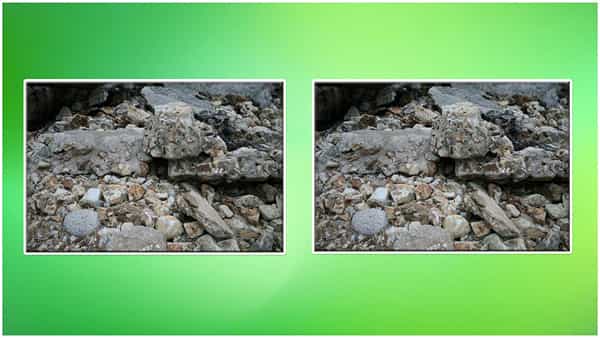 Puzzle Picture: ఈ ఫోటోలో ఒక వీరుడు దాగున్నాడు.. ఎక్కడ ఉన్నాడో కనిపెట్టగలరా?