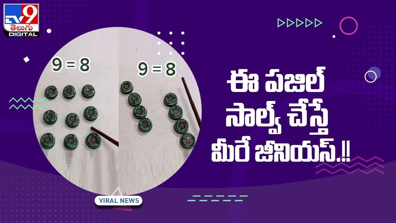 ఈ పజిల్ సాల్వ్ చేస్తే మీరే జీనియస్ !! వీడియో