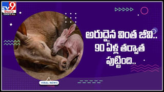 Grandmaster Chess: ప్రపంచ చెస్‌ ప్లేయర్‌కు షాకిచ్చిన 16 ఏళ్ల భారత గ్రాండ్‌మాస్టర్‌..! వీడియో చుస్తే షాక్ అవ్వాల్సిందే..