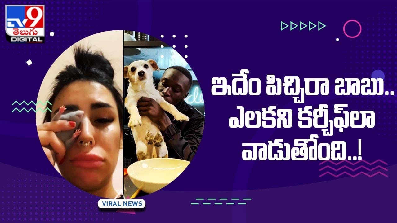 Viral Video: ఇదేం పిచ్చిరా బాబు !! ఎలకని కర్చీఫ్లా వాడుతోంది !! Viral Video: ఇదేం పిచ్చిరా బాబు !! ఎలకని కర్చీఫ్లా వాడుతోంది !!