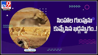 Viral Video: ఈ బుడ్డోడి బ్యాటింగ్‌ చూసి సచిన్‌ టెండూల్కర్‌ ఫిదా.. చిన్నారి తండ్రి చేసినపనికి అందరూ షాక్..(వీడియో)