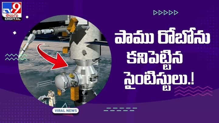 వినూత్న పాము రోబోను కనిపెట్టిన సైంటిస్టులు.. వీడియో వినూత్న పాము రోబోను కనిపెట్టిన సైంటిస్టులు.. వీడియో
