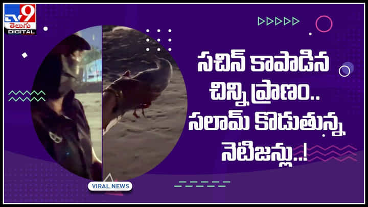 Sachin Tendulkar Video: సచిన్ కాపాడిన చిన్ని ప్రాణం.. సలామ్ కొడుతున్న నెటిజన్లు..! ఎమోషన్ చేస్తున్న వీడియో... Sachin Tendulkar Video: సచిన్ కాపాడిన చిన్ని ప్రాణం.. సలామ్ కొడుతున్న నెటిజన్లు..! ఎమోషన్ చేస్తున్న వీడియో...
