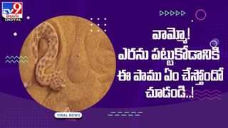 Viral Video: ఏడు పదుల వయసులో ఆ పని.. ఆశ్చర్యపోతున్న నెటిజన్లు.. అంత స్టామినా ఎలా అంటూ ప్రశ్నలు