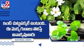 Aloe Vera: ఆ సమస్యతో బాధపడితే కలబంద వాడండి.. తక్షణమే ఉపశమనం..