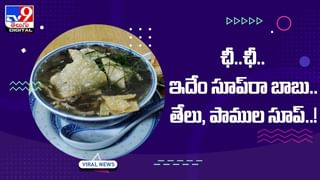 Viral Video: భారీ కొండచిలువపై చిరుత దాడి !! షాకింగ్ వీడియో