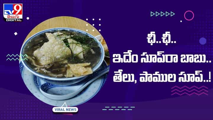 ఛీ..ఛీ.. ఇదేం ఫుడ్రా బాబు !! తేలు, పాముల సూప్.. వీడియో ఛీ..ఛీ.. ఇదేం ఫుడ్రా బాబు !! తేలు, పాముల సూప్.. వీడియో