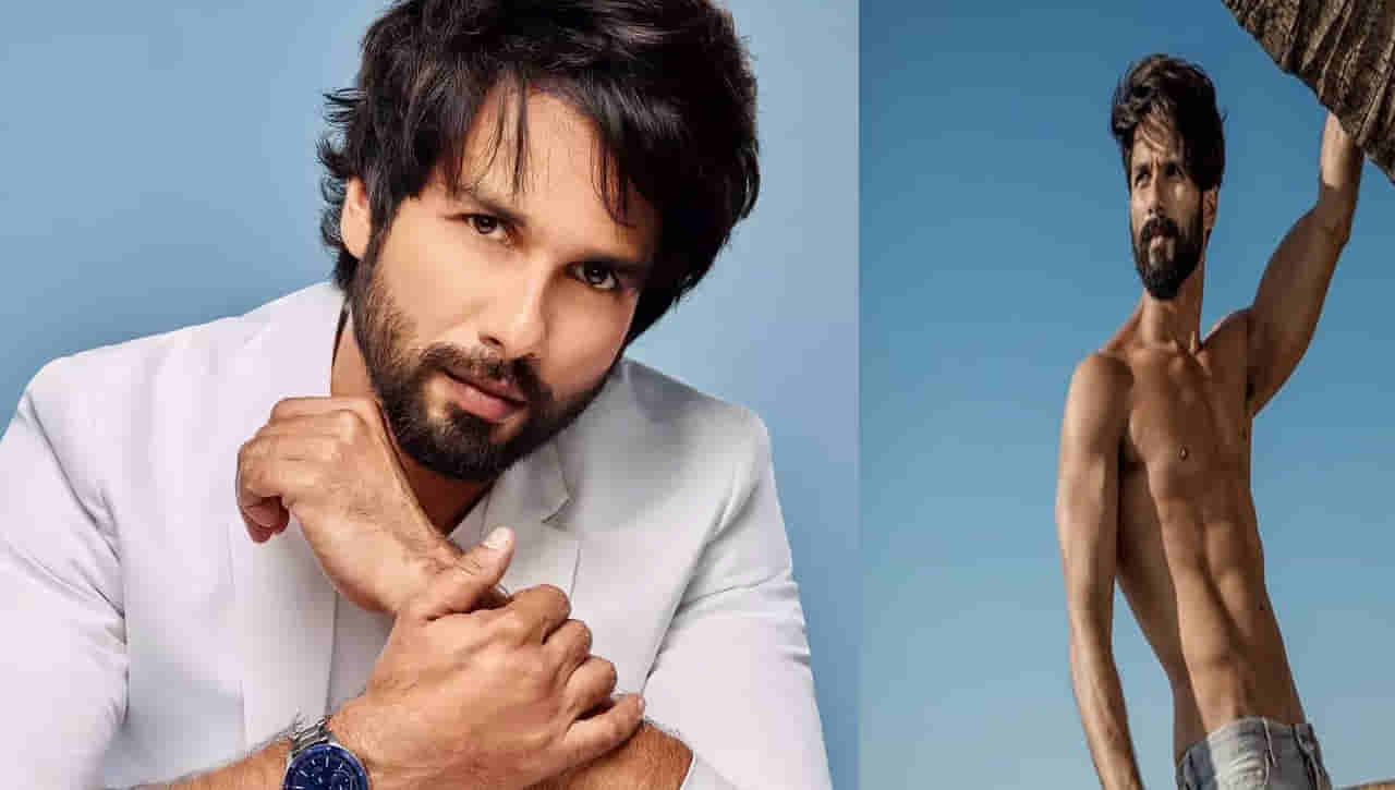 Shahid Kapoor: మరో తెలుగు సినిమాపై మనసు పారేసుకున్న షాహిద్‌.. మళ్లీ అదే హీరో రీమేక్‌తో..