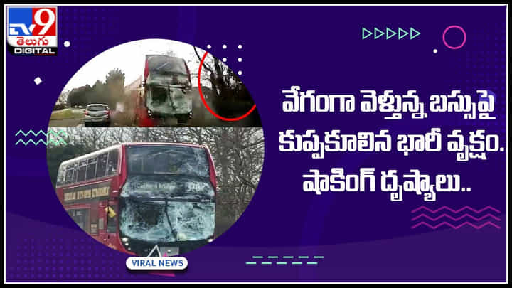 Shocking video: వేగంగా వెళ్తున్న బస్సుపై కుప్పకూలిన భారీ వృక్షం.. షాకింగ్ దృష్యాలు ఈ వీడియోలో చూడండి.. Shocking video: వేగంగా వెళ్తున్న బస్సుపై కుప్పకూలిన భారీ వృక్షం.. షాకింగ్ దృష్యాలు ఈ వీడియోలో చూడండి..