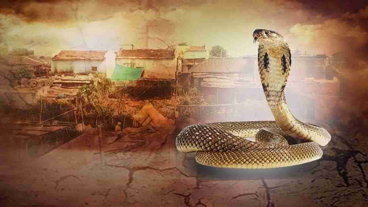 Snake: పాములు పగబడతాయా? చంపేవరకు వదలవా? వాటికి పగా, ప్రతీకారాలు ఉంటాయా?