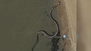 Elephant Viral: అట్లుంటది మరీ ఏనుగుతోని..! గజరాజు కోపం దగ్గర నుంచి చూశారా..? వైరల్ అవుతున్న విజువల్స్..