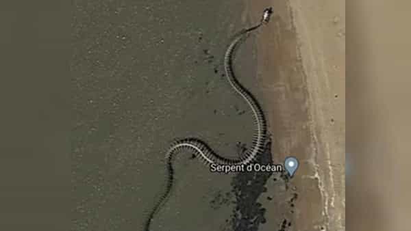 Google Maps: వామ్మో 30 మీటర్ల భారీ పాము.. ఏకంగా గూగుల్ మ్యాప్లో దర్శనం.. షాక్ అవుతున్న జనాలు..!