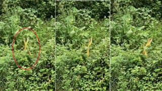 Viral Video: బుడ్డోడు మాములోడు కాదు.. ఏకంగా కారు ఓనర్‏కే షాకిచ్చాడు..