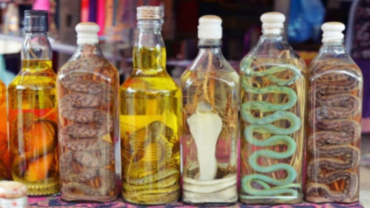 Snake In Wine Bottle: వైన్​ బాటిల్ లో పాము.. సంవత్సరం తరువాత తీసి చూస్తే ఏమైందంటే..