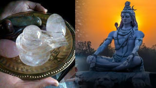 Maha Shivratri 2022: మహాశివరాత్రి రోజు శివలింగానికి రాగిపాత్రలో పాలభిషేకం అస్సలు చేయకూడదు.. ఎందుకంటే..