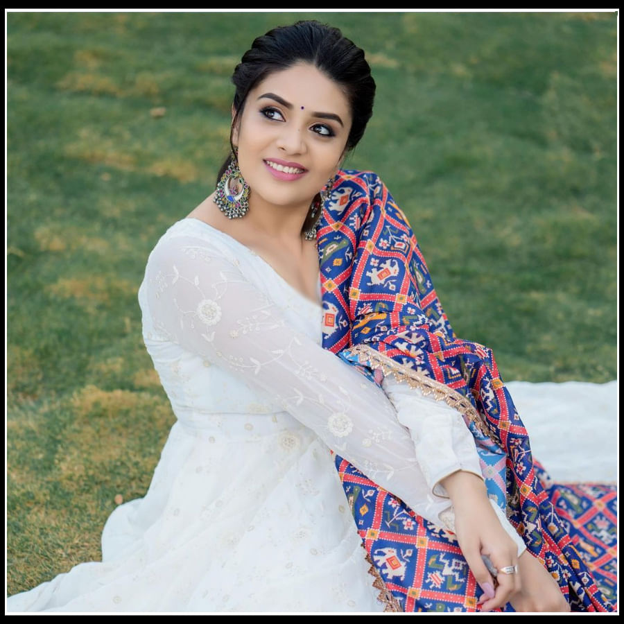 సోషల్ మీడియాలో ముద్దుగా.. బొద్దుగా యాంకర్ శ్రీముఖి అందాలు..