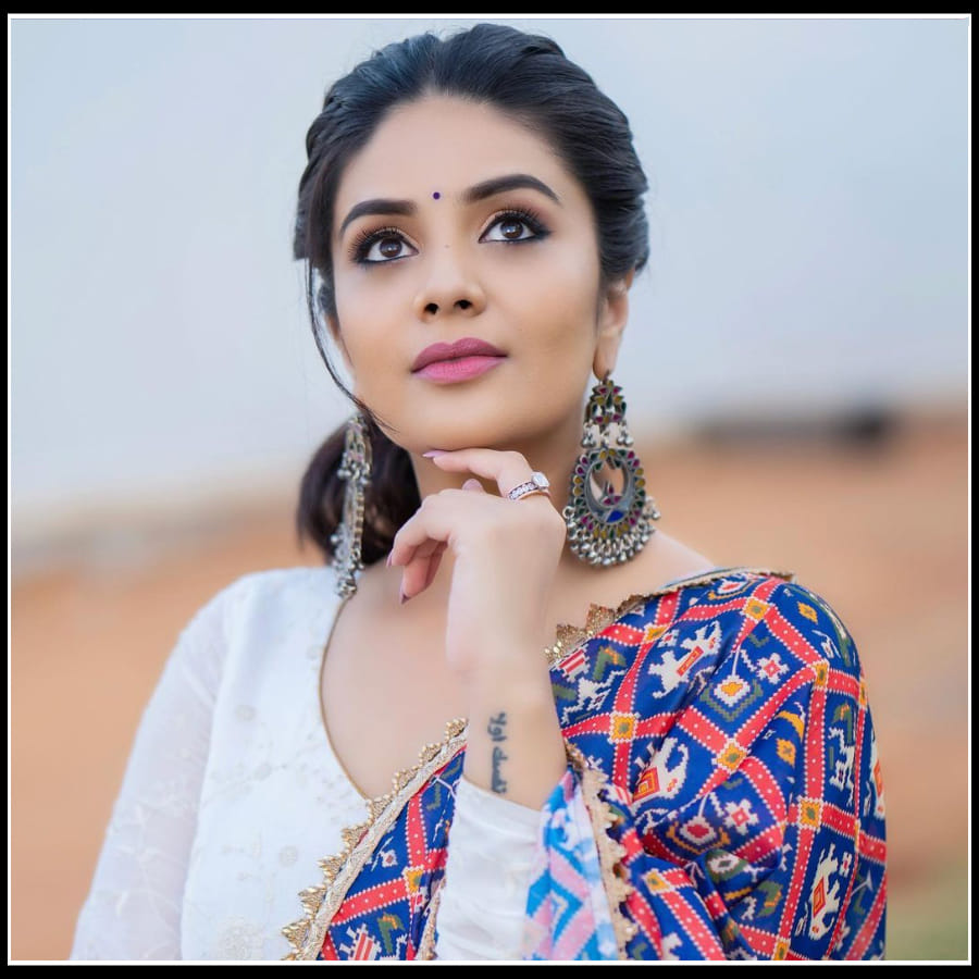 సోషల్ మీడియాలో ముద్దుగా.. బొద్దుగా యాంకర్ శ్రీముఖి అందాలు..