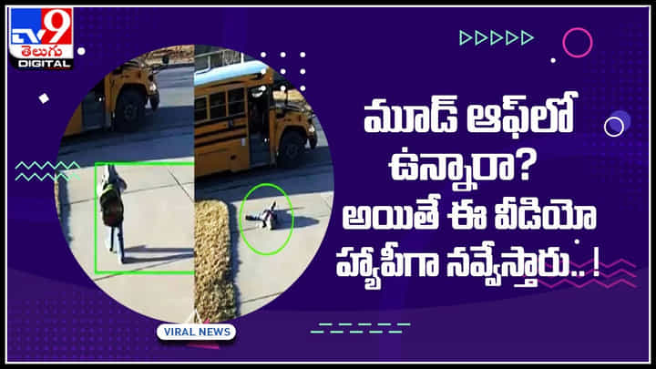 Viral Video: మూడ్ ఆఫ్లో ఉన్నారా..? అయితే ఈ వీడియో హ్యాపీగా నవ్వేస్తారు..! వీడి వేషాలు అలా ఉన్నాయి మరి.. Viral Video: మూడ్ ఆఫ్లో ఉన్నారా..? అయితే ఈ వీడియో హ్యాపీగా నవ్వేస్తారు..! వీడి వేషాలు అలా ఉన్నాయి మరి..
