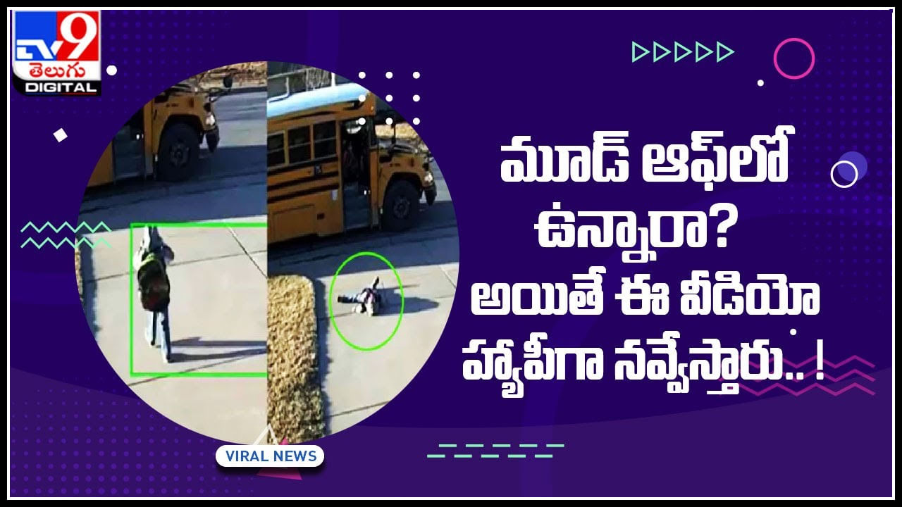 Viral Video: మూడ్ ఆఫ్‌లో ఉన్నారా..? అయితే ఈ వీడియో హ్యాపీగా నవ్వేస్తారు..! వీడి వేషాలు అలా ఉన్నాయి మరి..