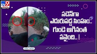 Drugs for AIDS/HIV: వైద్య చరిత్రలో మరో అద్భుతం..  ఎయిడ్స్‌ పూర్తిగా నయం.. స్టెమ్‌ సెల్స్‌తో హెచ్‌ఐవీ రెమిషన్‌.. వీడియో