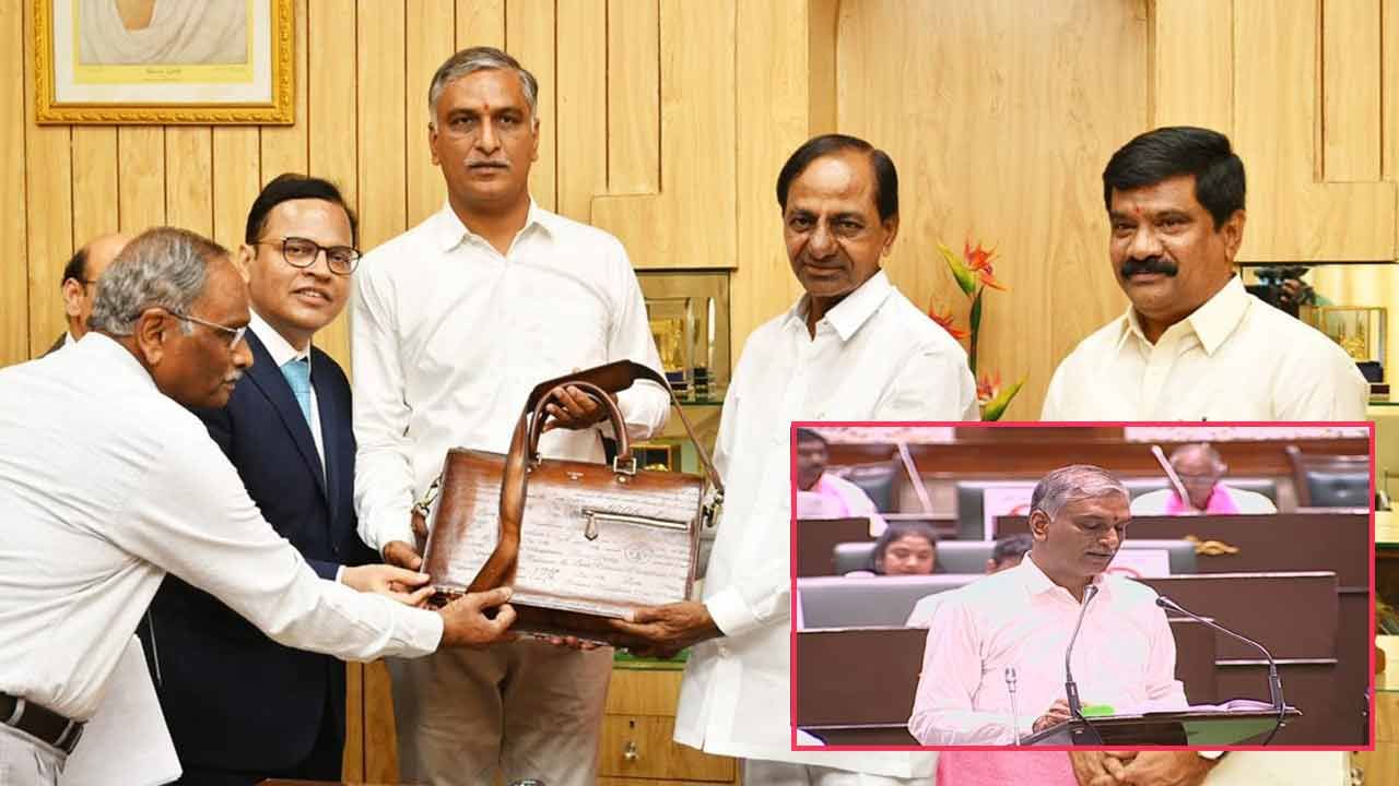 Telangana Budget Highlights: రూ.2.56 లక్షల కోట్లతో రాష్ట్ర బడ్జెట్.. టాప్ 30 హైలెట్స్ మీ కోసం
