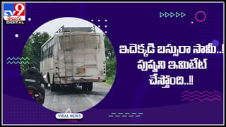 Viral Video: పానీపూరీ అమ్ముతున్న చిన్నారులు.. మీ జన్మ ధన్యం అంటున్న నెటిజన్లు.. సంచలనంగా మారిన వీడియో..