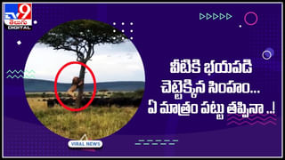 Viral: నిఖా జరుగుతుండగా చివరి నిమిషంలో వధువు ట్విస్ట్.. పోలీస్ స్టేషన్‌లో మరో టర్న్