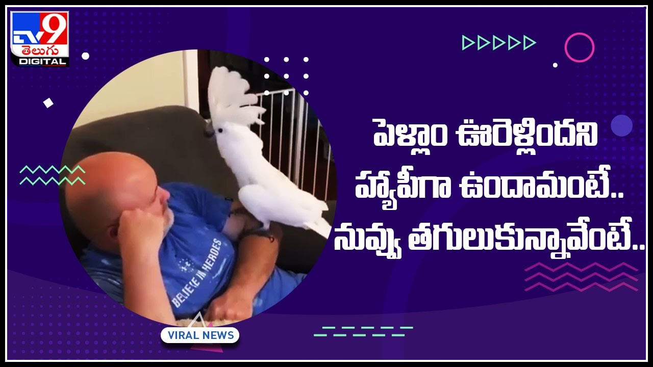 Viral Video: పెళ్లాం ఊరెళ్లిందని హ్యాపీగా ఉందామంటే.. నువ్వు తగులుకున్నావేంటే..! ఫన్నీ కామంట్స్‌తో హోరెత్తిస్తున్న నెటిజనం..