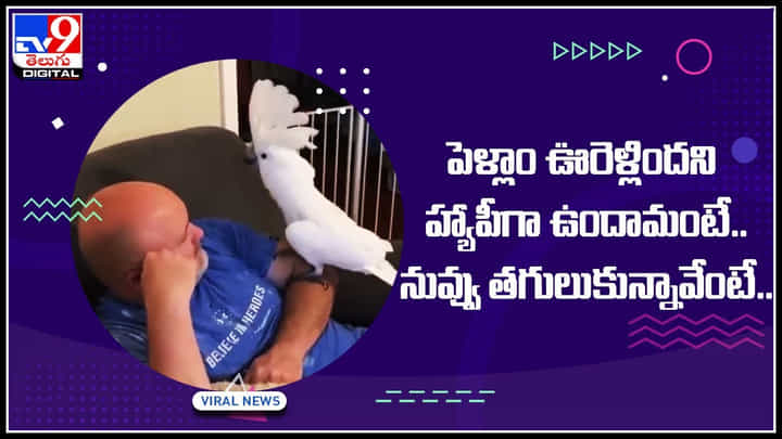 Viral Video: పెళ్లాం ఊరెళ్లిందని హ్యాపీగా ఉందామంటే.. నువ్వు తగులుకున్నావేంటే..! ఫన్నీ కామంట్స్తో హోరెత్తిస్తున్న నెటిజనం.. Viral Video: పెళ్లాం ఊరెళ్లిందని హ్యాపీగా ఉందామంటే.. నువ్వు తగులుకున్నావేంటే..! ఫన్నీ కామంట్స్తో హోరెత్తిస్తున్న నెటిజనం..