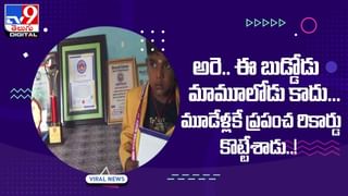 Viral Video: కుక్కపిల్లకు చుక్కలు చూపించిన బాతు !! వీడియో చూస్తే షాకే..