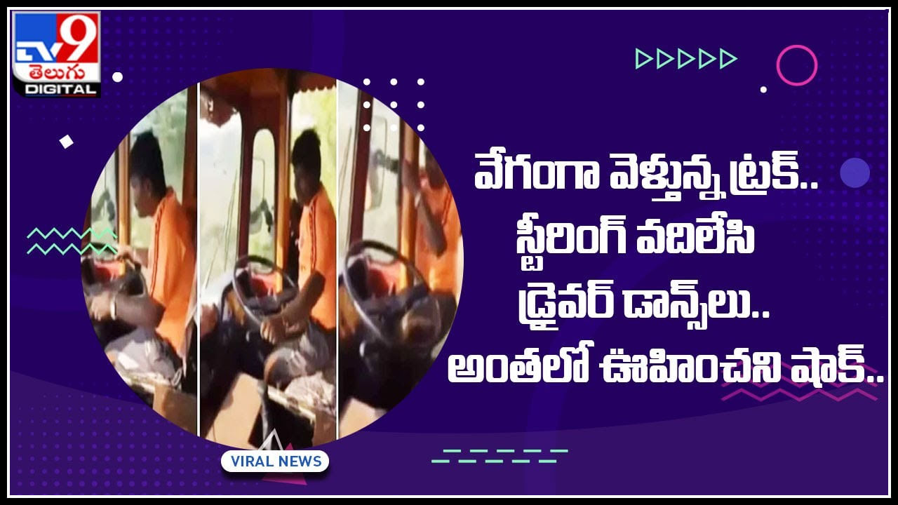 Viral Video: వేగంగా వెళ్తున్న ట్రక్.. స్టీరింగ్‌ వదిలేసి డ్రైవర్‌ డాన్స్‌లు.. అంతలో ఊహించని షాక్‌..(వీడియో)