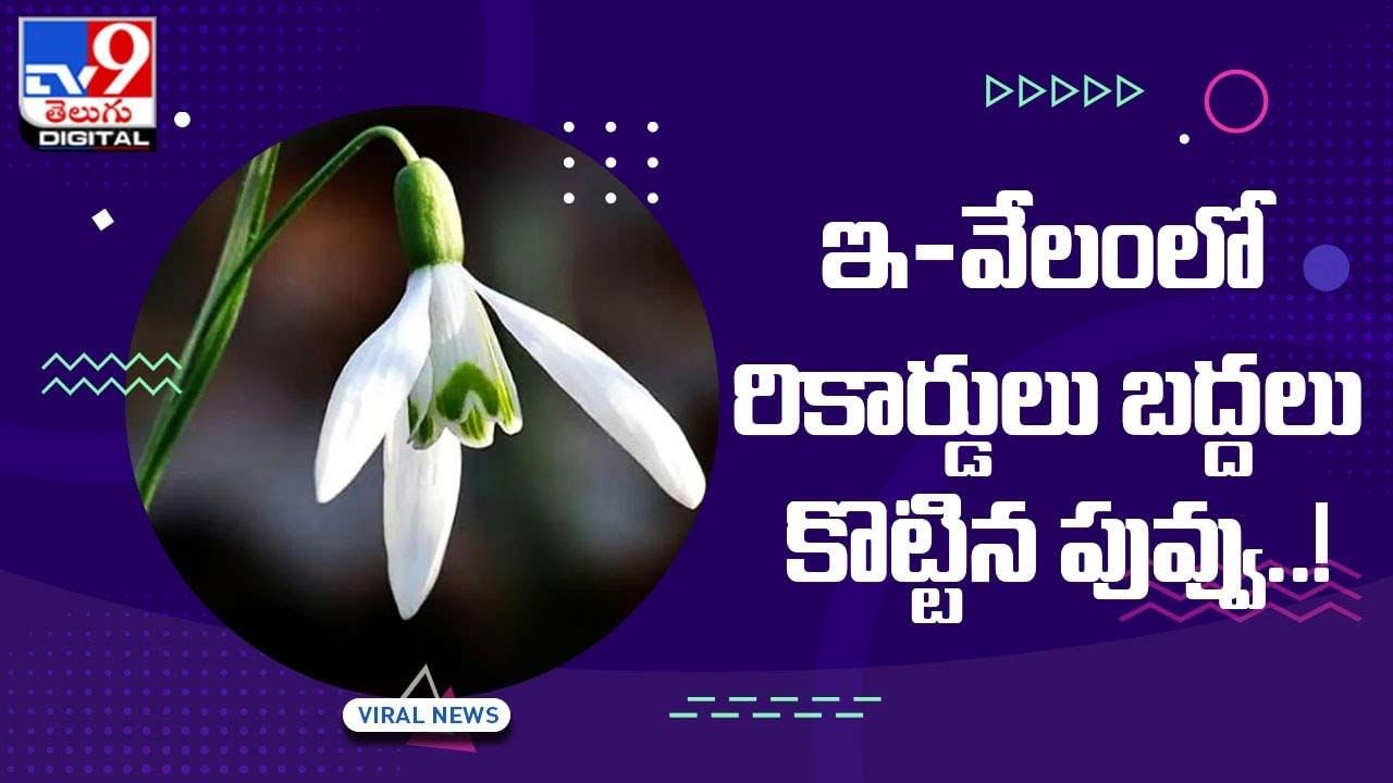 Unique Flower: ఇ-వేలంలో రికార్డులు బద్దలు కొట్టిన పువ్వు !! వీడియో