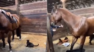 Viral Video: వామ్మో! చూస్తేనే భయమేస్తోంది.. చేపల కోసం వల వేస్తే ఇది దొరికింది.. చూస్తే ఫ్యూజులు ఔట్!