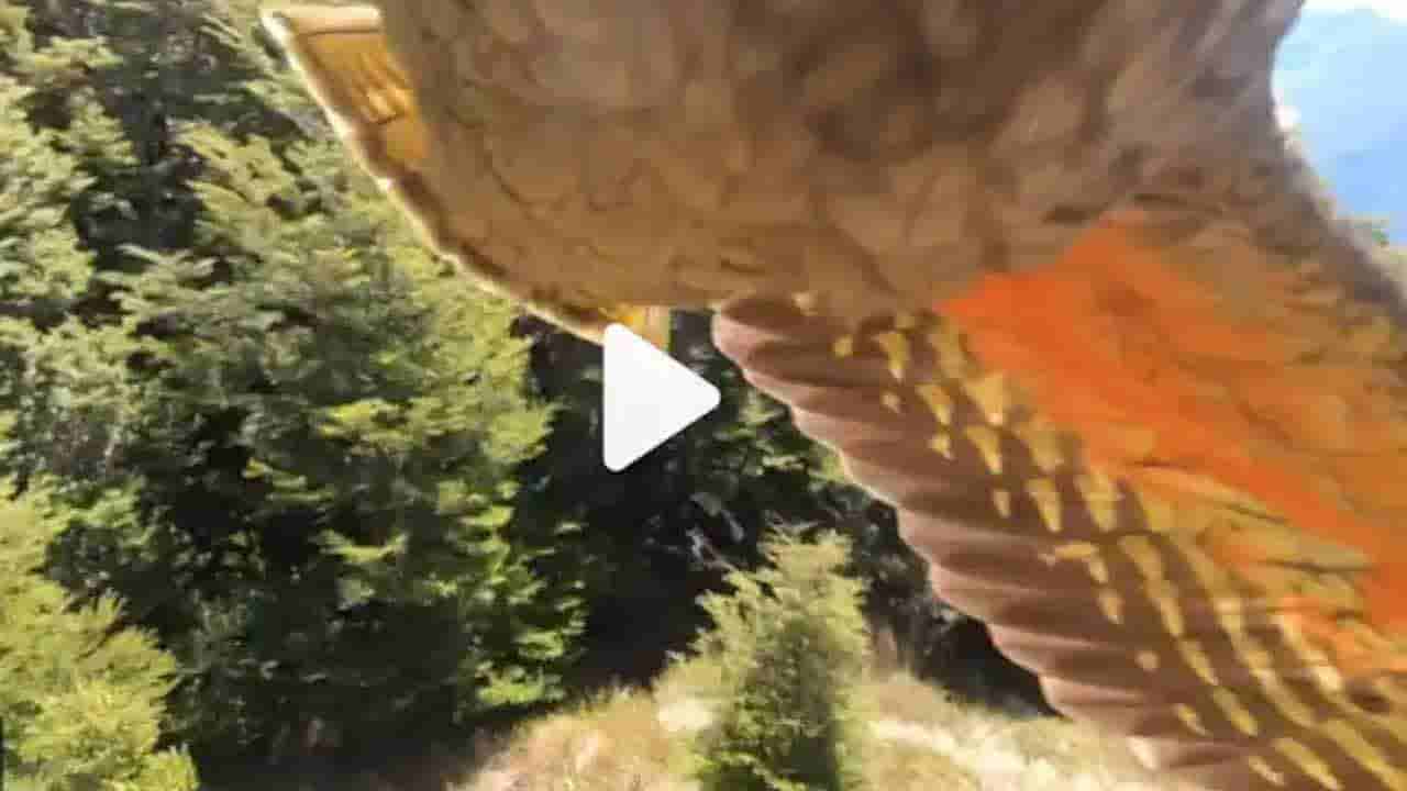 Viral Video: నేనూ మాంచి ఫోటోగ్రాఫర్నే.. కెమెరాతో చిలుక ఏం చేసిందో చూస్తే మతిపోవాల్సిందే!