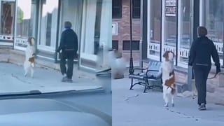 Viral Video: వేగంగా బైక్‌ నడిపేవారు ఈ వీడియో చూడాల్సిందే..!