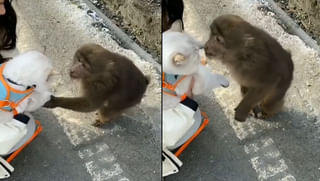 Viral Video: ‘ప‌ర‌మ్ సుంద‌రి’ పాట‌కు డాన్స్‌‌ చేసి పిచ్చెక్కించిన ఎయిర్‌హోస్టెస్.. సూపర్బ్ అంతే