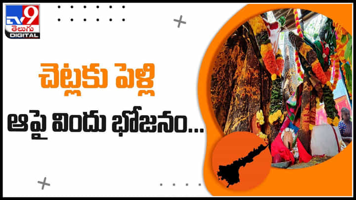 Trees Marriage Video: చెట్లను మొక్కడం సహజం.. కానీ చెట్లకు పెళ్లా..? ఆపై విందు భోజనం.. ఎందుకో తెలిస్తే షాక్ అవుతారు.. Trees Marriage Video: చెట్లను మొక్కడం సహజం.. కానీ చెట్లకు పెళ్లా..? ఆపై విందు భోజనం.. ఎందుకో తెలిస్తే షాక్ అవుతారు..
