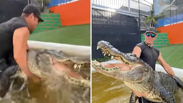 Viral Video: మనోడికి ప్రాణాల మీద తీపి లేదేమో.. ఏకంగా136 కిలోల మొసలినే ఎత్తుకున్నాడు.. నెట్టింట్లో వైరలవుతోన్న వీడియో..