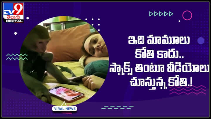 Monkey Viral Video: అబ్బా ఎం రాజసం.. ఇది మామూలు కోతి కాదు.. స్నాక్స్ తింటూ వీడియోలు చూస్తున్న కోతి.! Monkey Viral Video: అబ్బా ఎం రాజసం.. ఇది మామూలు కోతి కాదు.. స్నాక్స్ తింటూ వీడియోలు చూస్తున్న కోతి.!